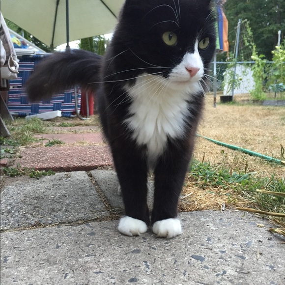 Meet your Posher, Lindsey - Picture 3 of 4